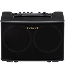 Roland AC40 Acoustic Guitar Amplifier 